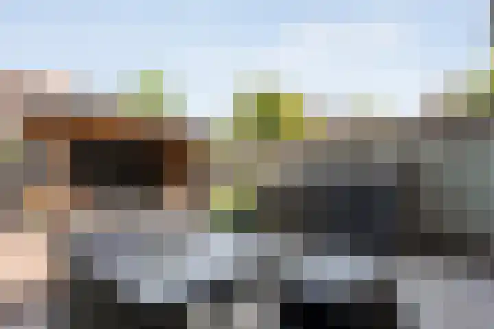 Haagwinde 41 Nijverdal thumbnail 33