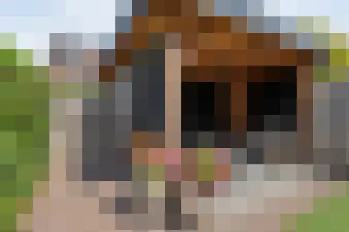 Haagwinde 41 Nijverdal thumbnail 35