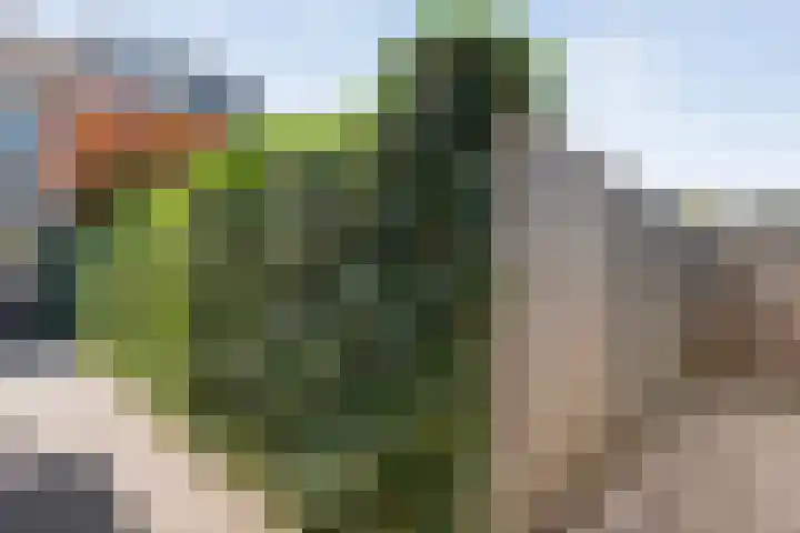 Haagwinde 41 Nijverdal thumbnail 36