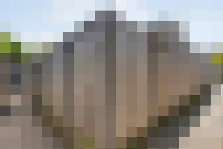 Haagwinde 41 Nijverdal thumbnail 38