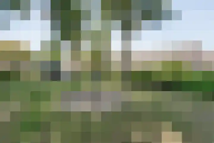 Haagwinde 41 Nijverdal thumbnail 39