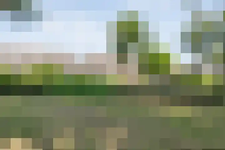 Haagwinde 41 Nijverdal thumbnail 40
