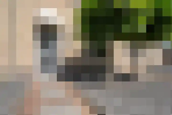Haagwinde 41 Nijverdal thumbnail 5