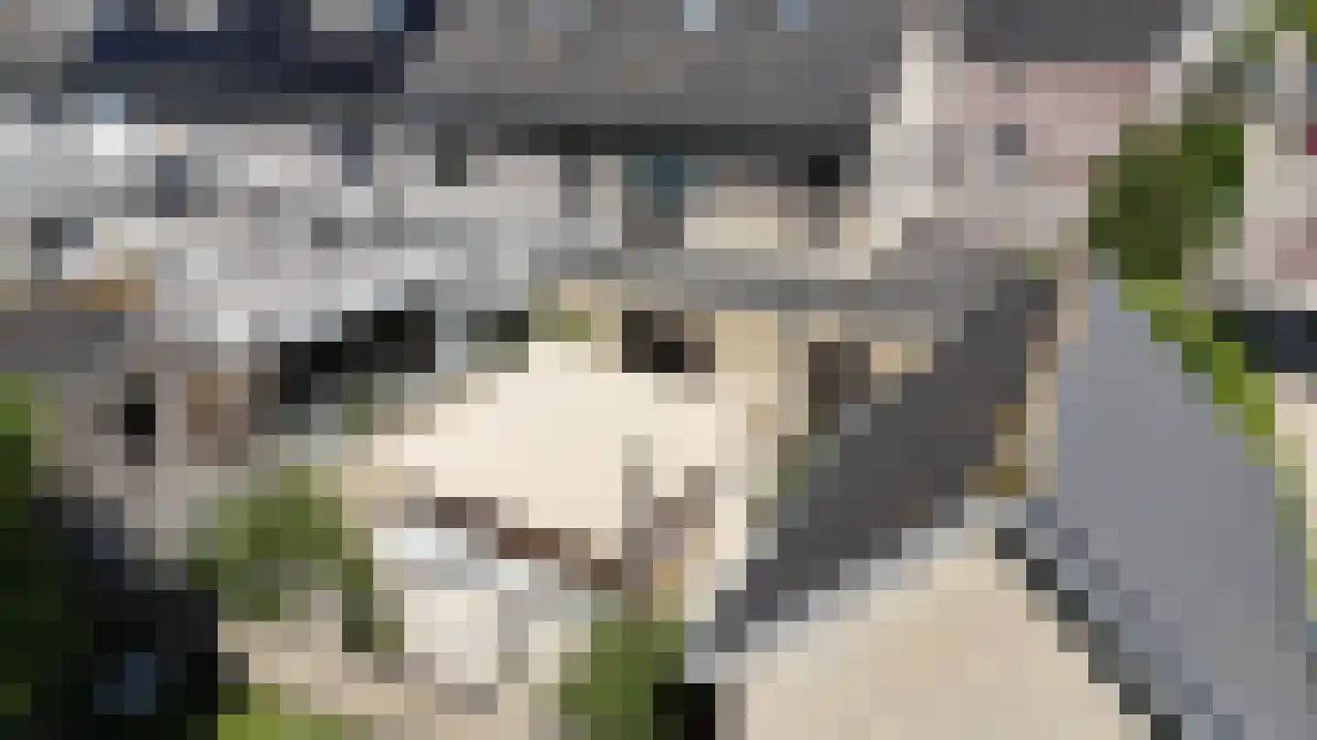 Haagwinde 42 Urk thumbnail 39