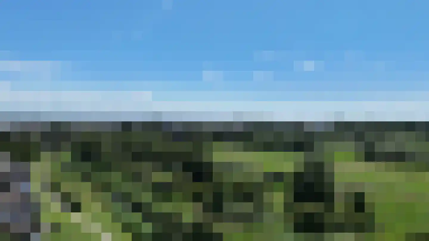Haagwinde 42 Urk thumbnail 44