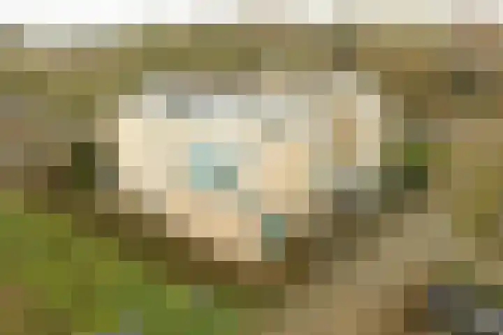 Haagwinde 46 Soest thumbnail 29