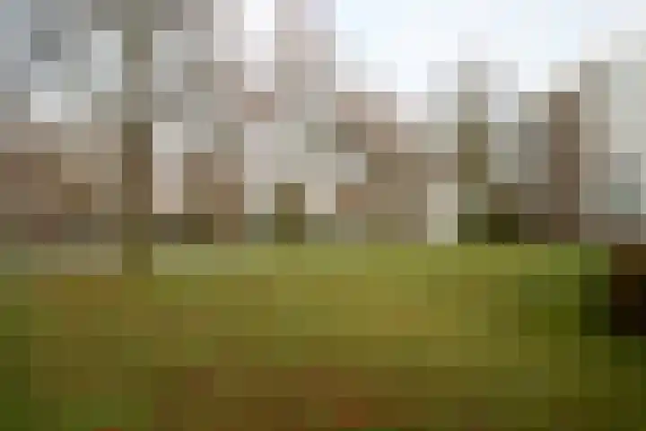 Haagwinde 46 Soest thumbnail 32