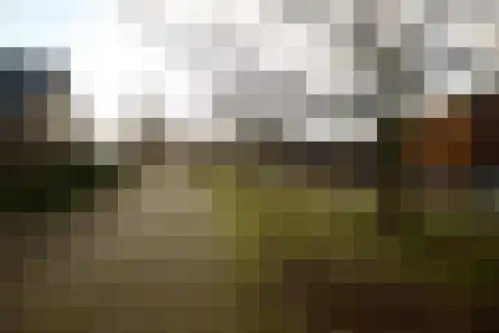 Haagwinde 46 Soest thumbnail 33
