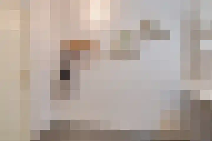 Haagwinde 49 Apeldoorn thumbnail 16