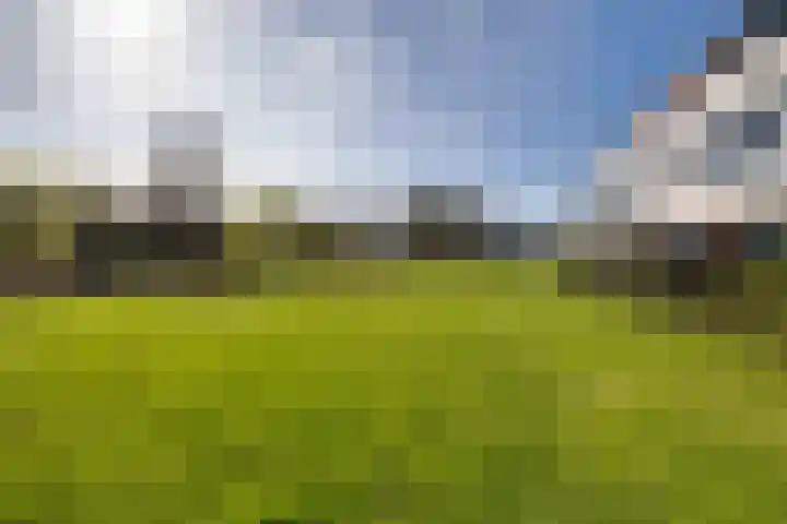 Haagwinde 49 Apeldoorn thumbnail 31