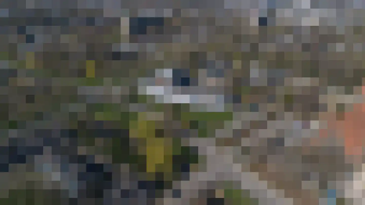 Haagwinde 49 Apeldoorn thumbnail 36