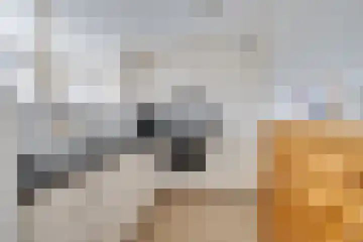 Haagwinde 49 Apeldoorn thumbnail 8