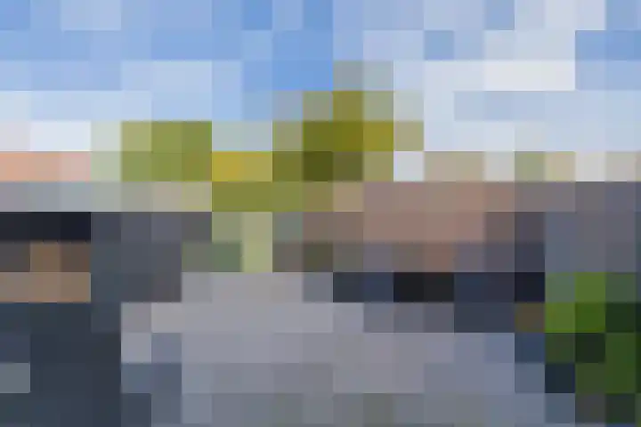 Haagwinde 5 Noordwijk thumbnail 43