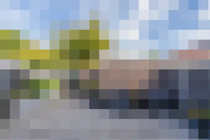 Haagwinde 5 Noordwijk thumbnail 44