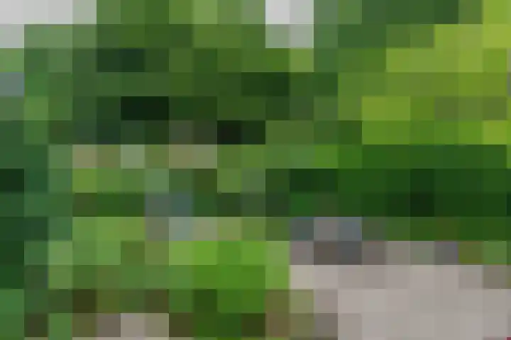 Haagwinde 59 Abcoude thumbnail 24