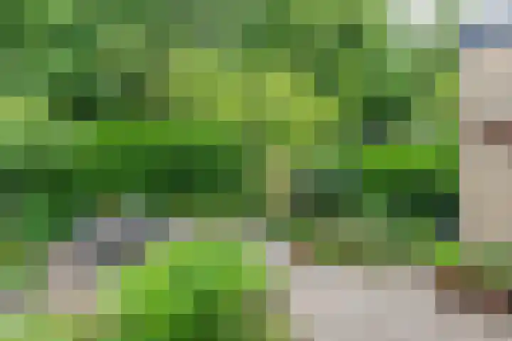 Haagwinde 59 Abcoude thumbnail 25