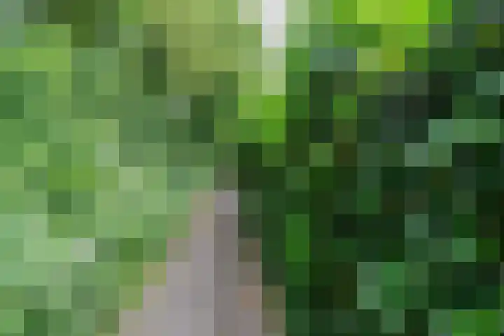 Haagwinde 59 Abcoude thumbnail 26