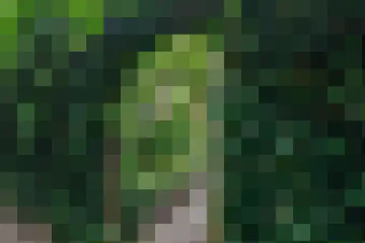 Haagwinde 59 Abcoude thumbnail 27