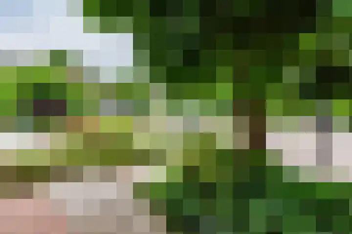 Haagwinde 59 Abcoude thumbnail 28