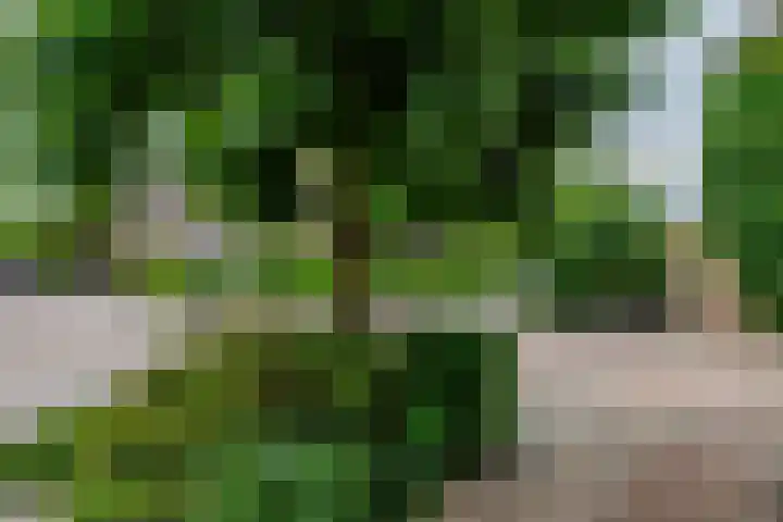 Haagwinde 59 Abcoude thumbnail 29