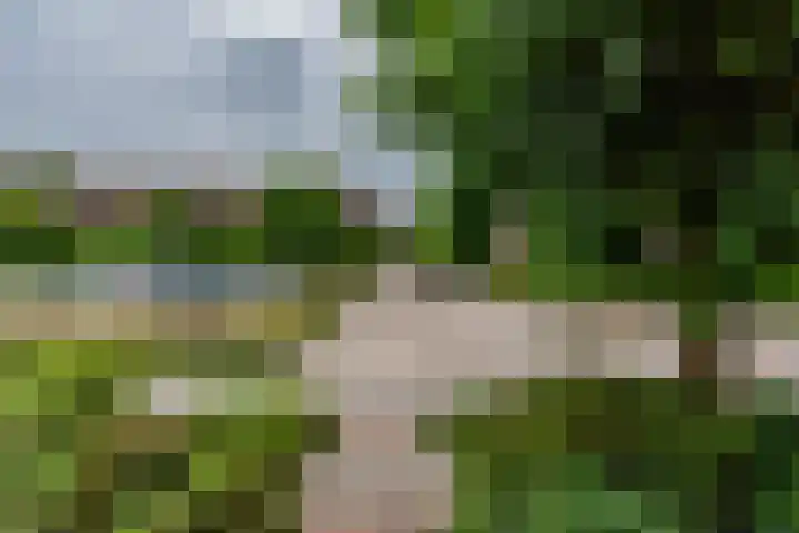 Haagwinde 59 Abcoude thumbnail 30