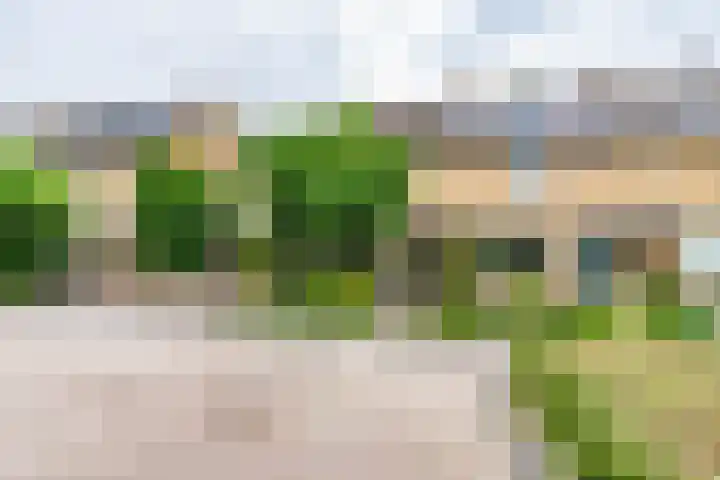 Haagwinde 59 Abcoude thumbnail 31