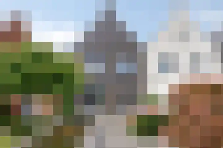 Haagwinde 6 Vlijmen foto 2