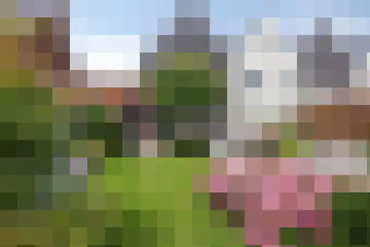 Haagwinde 6 Vlijmen thumbnail 30