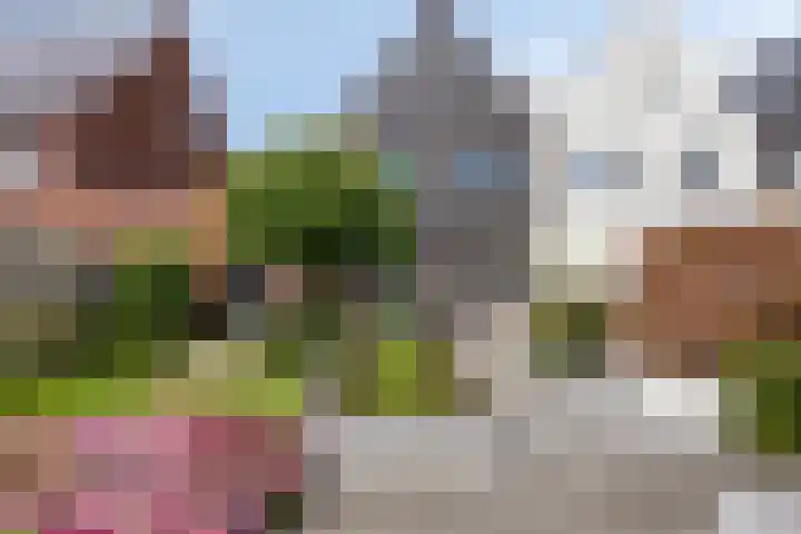 Haagwinde 6 Vlijmen thumbnail 31