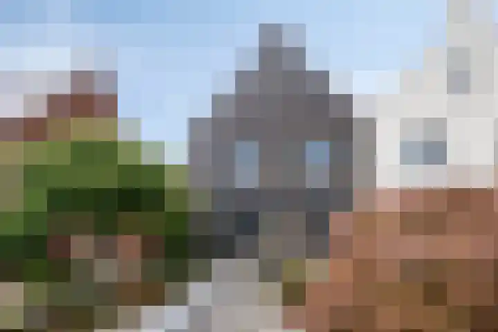 Haagwinde 6 Vlijmen thumbnail 32