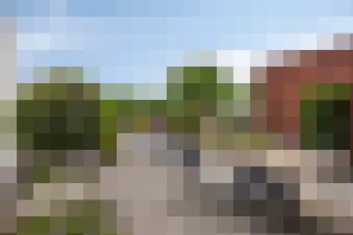 Haagwinde 6 Vlijmen thumbnail 33