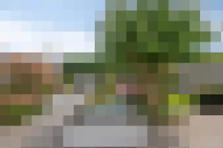 Haagwinde 6 Vlijmen thumbnail 35