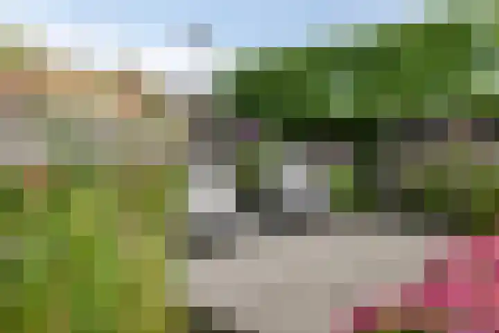 Haagwinde 6 Vlijmen thumbnail 36