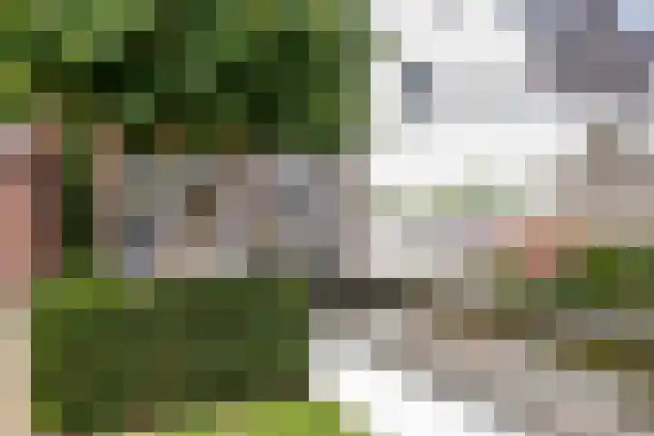 Haagwinde 6 Vlijmen thumbnail 37