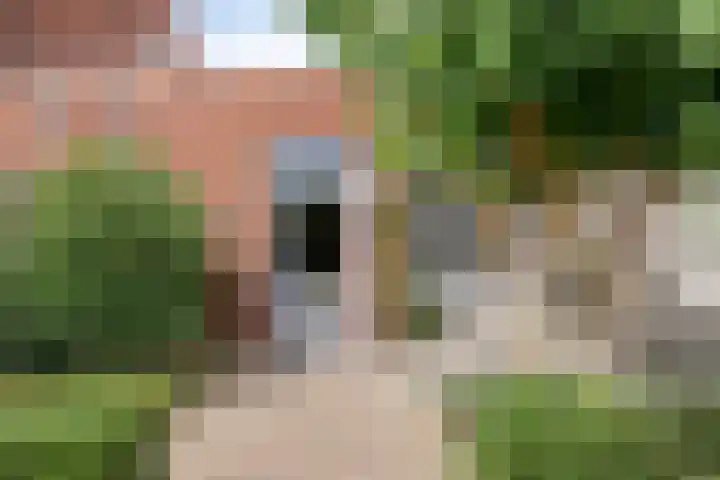 Haagwinde 6 Vlijmen thumbnail 38