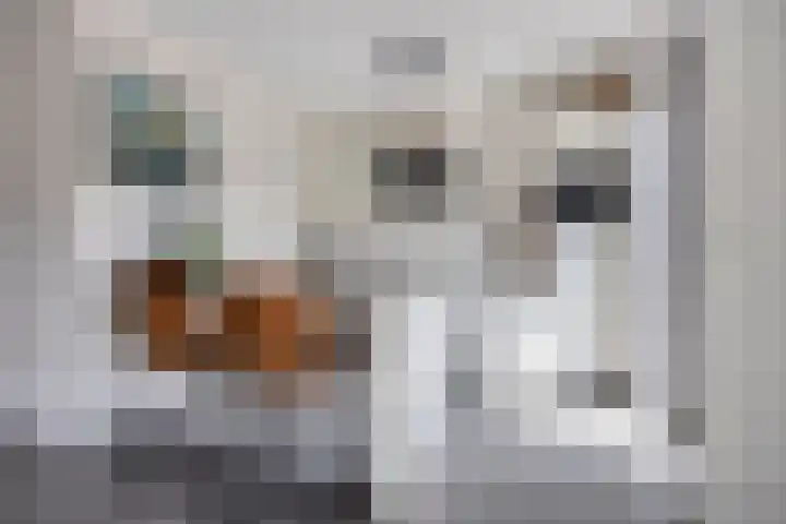 Haagwinde 6 Vlijmen thumbnail 4