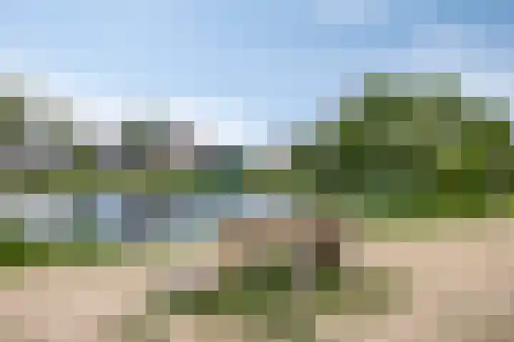 Haagwinde 6 Vlijmen thumbnail 44