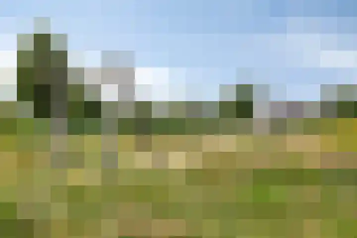 Haagwinde 6 Vlijmen thumbnail 45