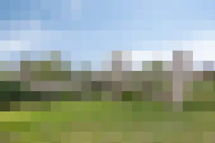 Haagwinde 6 Vlijmen thumbnail 46