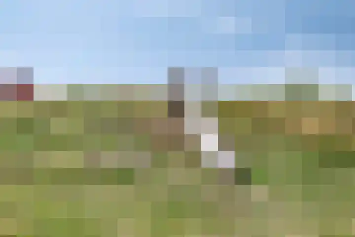 Haagwinde 6 Vlijmen thumbnail 47