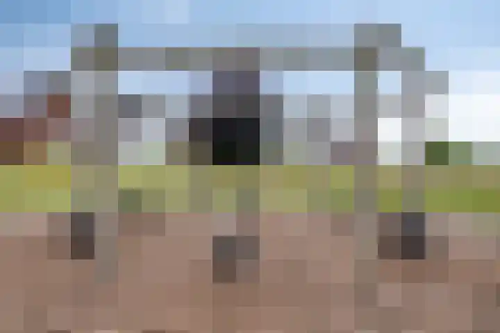 Haagwinde 6 Vlijmen thumbnail 48