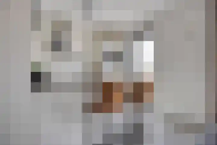 Haagwinde 6 Vlijmen thumbnail 5