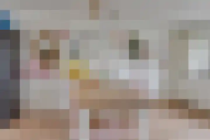 Haagwinde 64 Oudkarspel thumbnail 12