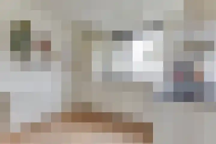 Haagwinde 64 Oudkarspel thumbnail 13