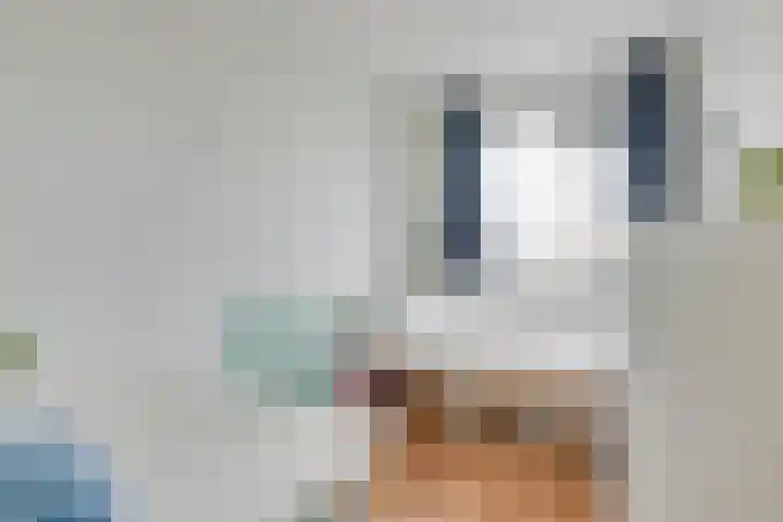 Haagwinde 64 Oudkarspel thumbnail 31