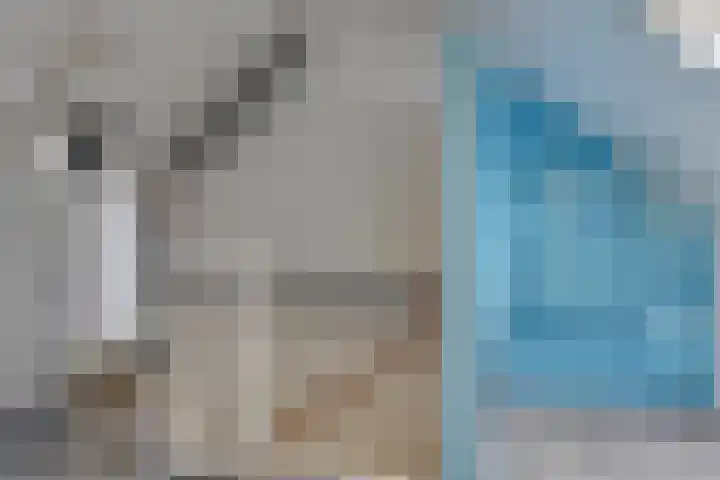 Haagwinde 64 Oudkarspel thumbnail 34