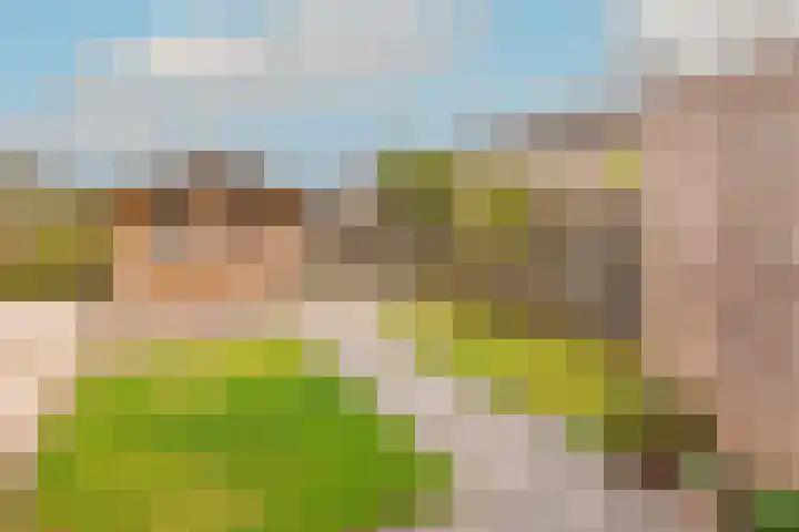 Haagwinde 64 Oudkarspel thumbnail 39