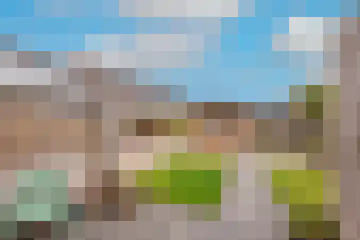Haagwinde 64 Oudkarspel thumbnail 40