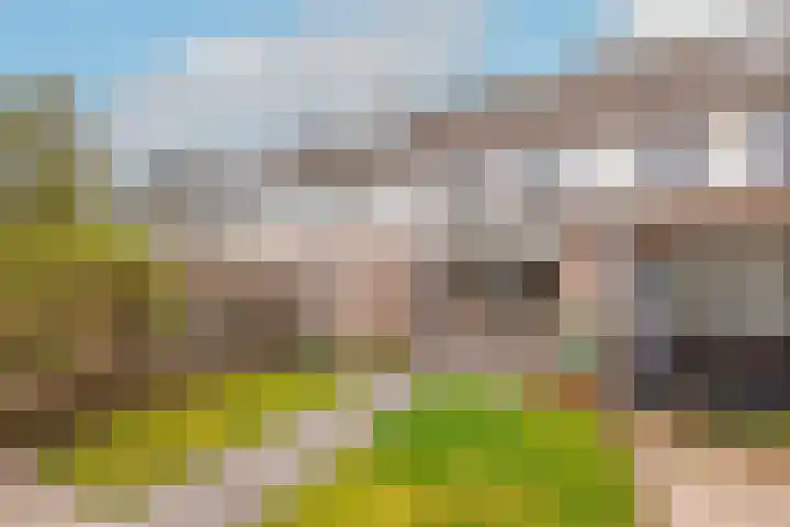 Haagwinde 64 Oudkarspel thumbnail 42