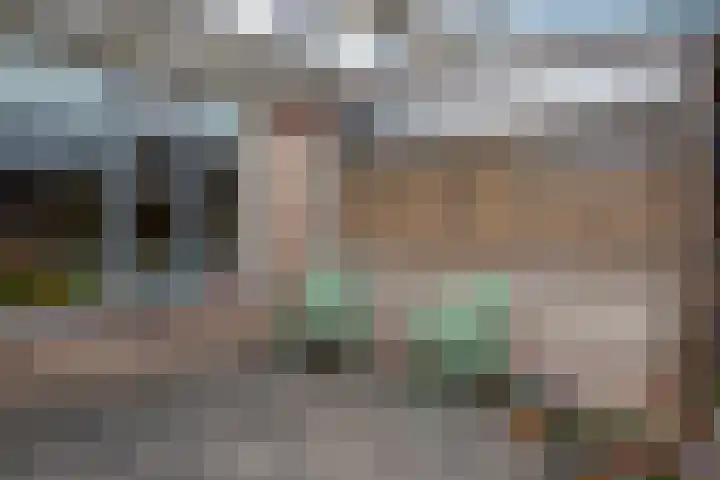 Haagwinde 64 Oudkarspel thumbnail 45